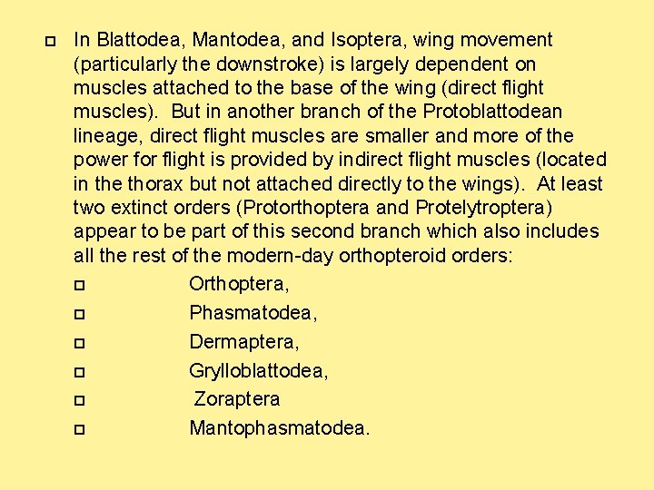  In Blattodea, Mantodea, and Isoptera, wing movement (particularly the downstroke) is largely dependent