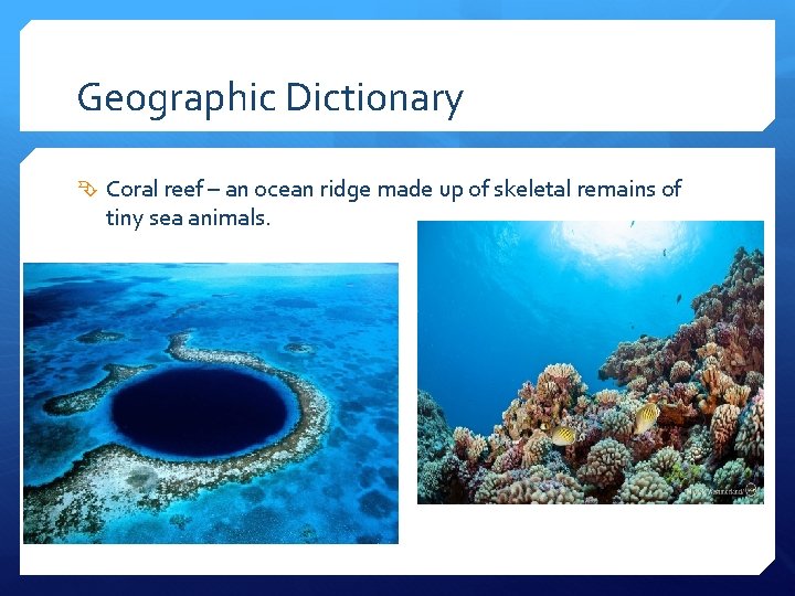Geographic Dictionary Coral reef – an ocean ridge made up of skeletal remains of