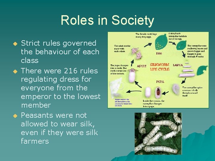 Roles in Society u u u Strict rules governed the behaviour of each class