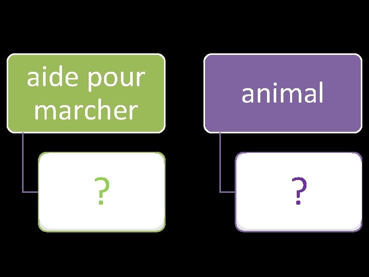 aide pour marcher animal canne ? cane ? 