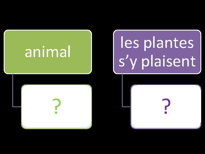 animal cerf ? les plantes s’y plaisent serre ? 