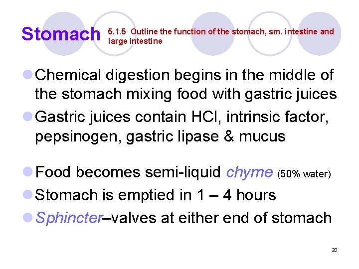 Stomach 5. 1. 5 Outline the function of the stomach, sm. intestine and large