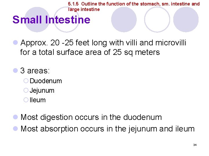 5. 1. 5 Outline the function of the stomach, sm. intestine and large intestine