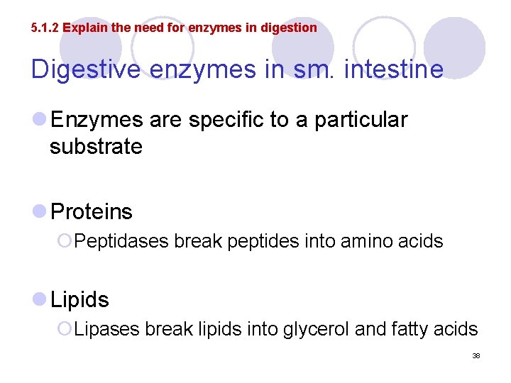 5. 1. 2 Explain the need for enzymes in digestion Digestive enzymes in sm.