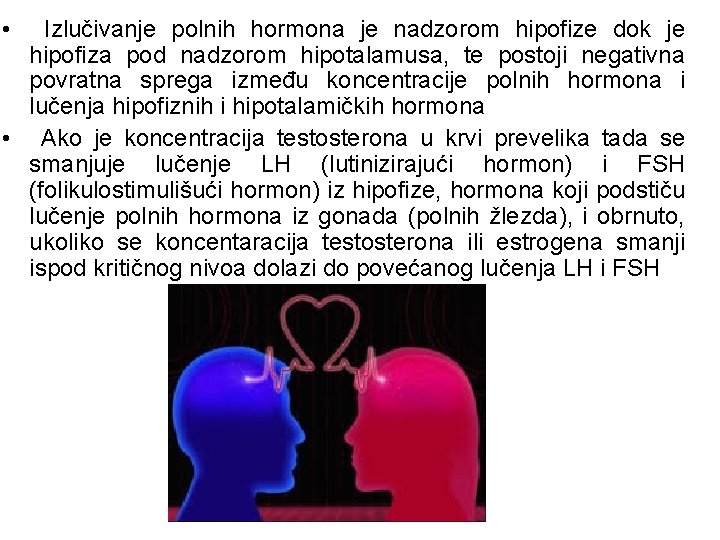  • Izlučivanje polnih hormona je nadzorom hipofize dok je hipofiza pod nadzorom hipotalamusa,