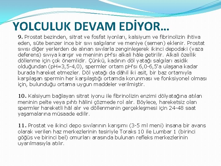 YOLCULUK DEVAM EDİYOR… 9. Prostat bezinden, sitrat ve fosfat iyonları, kalsiyum ve fibrinolizin ihtiva