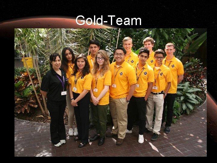 Gold-Team 