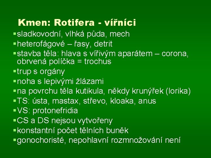 Kmen: Rotifera - vířníci § sladkovodní, vlhká půda, mech § heterofágové – řasy, detrit