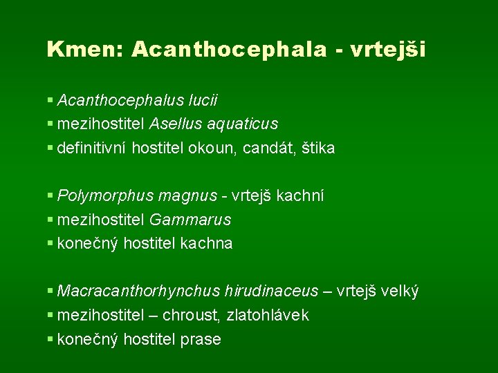 Kmen: Acanthocephala - vrtejši § Acanthocephalus lucii § mezihostitel Asellus aquaticus § definitivní hostitel