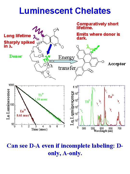 Luminescent Chelates Comparatively short lifetime. Emits where donor is dark. CH 3 Donor N