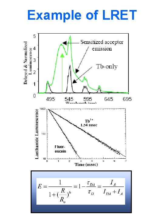 Example of LRET Fluorescein 
