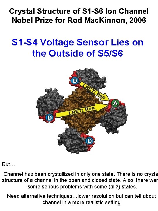Crystal Structure of S 1 -S 6 Ion Channel Nobel Prize for Rod Mac.