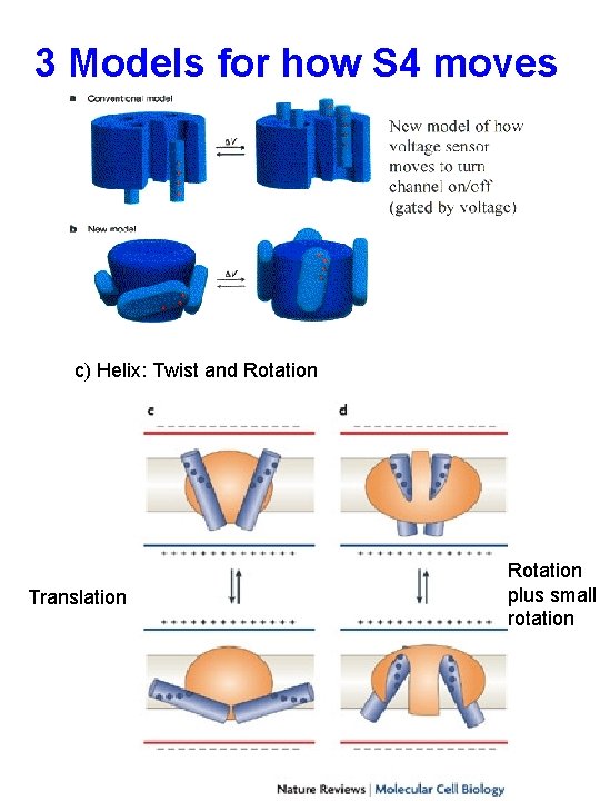 3 Models for how S 4 moves c) Helix: Twist and Rotation Translation Rotation