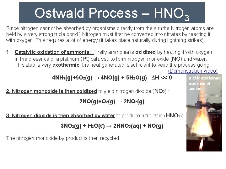 Ostwald Process – HNO 3 Since nitrogen cannot be absorbed by organisms directly from