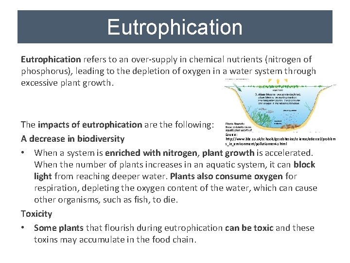 Eutrophication refers to an over-supply in chemical nutrients (nitrogen of phosphorus), leading to the