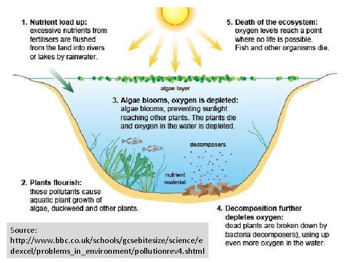 Source: http: //www. bbc. co. uk/schools/gcsebitesize/science/e dexcel/problems_in_environment/pollutionrev 4. shtml 