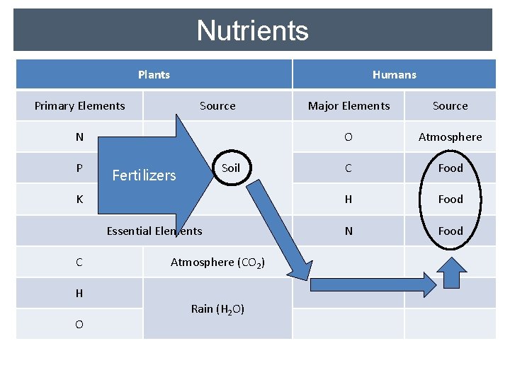 Nutrients Plants Humans Primary Elements Source N P Fertilizers Soil K Essential Elements C