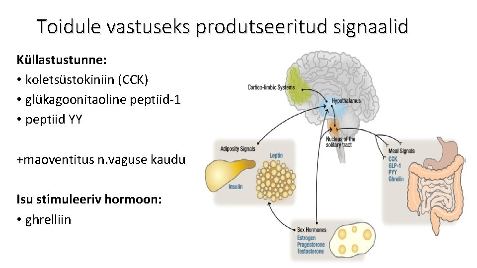 Toidule vastuseks produtseeritud signaalid Küllastustunne: • koletsüstokiniin (CCK) • glükagoonitaoline peptiid-1 • peptiid YY