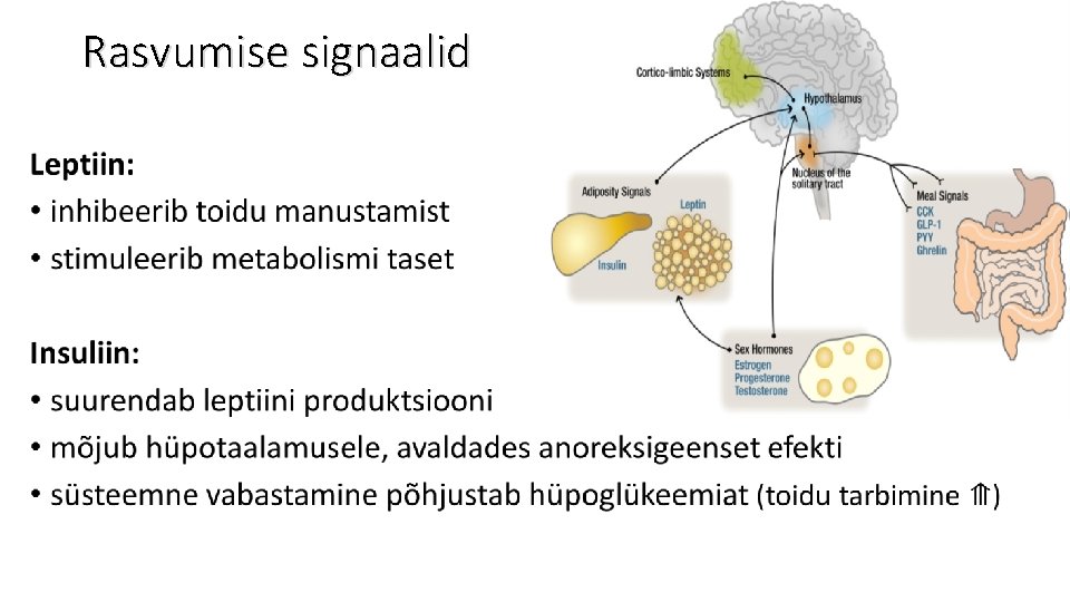 Rasvumise signaalid • Rasvumise signaalid •