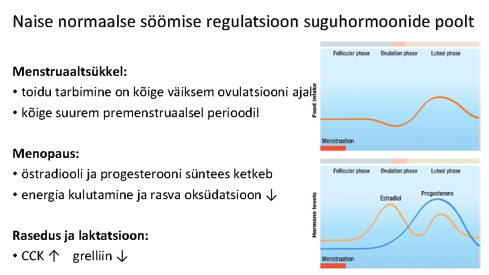 Naise normaalse söömise regulatsioon suguhormoonide poolt Menstruaaltsükkel: • toidu tarbimine on kõige väiksem ovulatsiooni