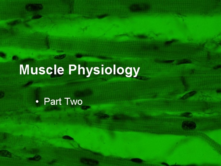 Muscle Physiology • Part Two 