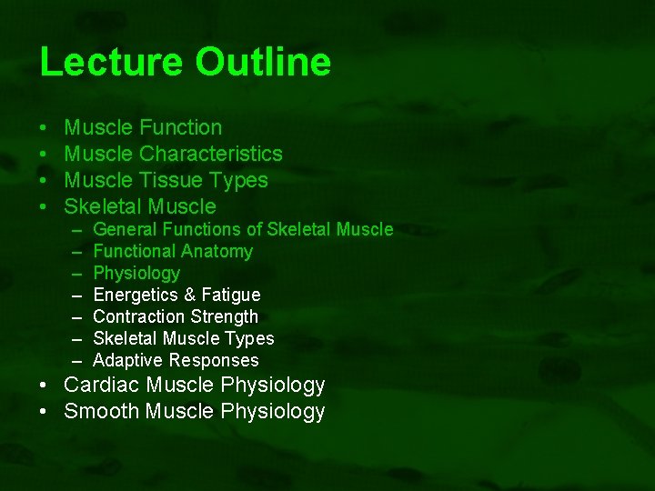 Lecture Outline • • Muscle Function Muscle Characteristics Muscle Tissue Types Skeletal Muscle –