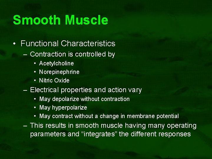 Smooth Muscle • Functional Characteristics – Contraction is controlled by • Acetylcholine • Norepinephrine