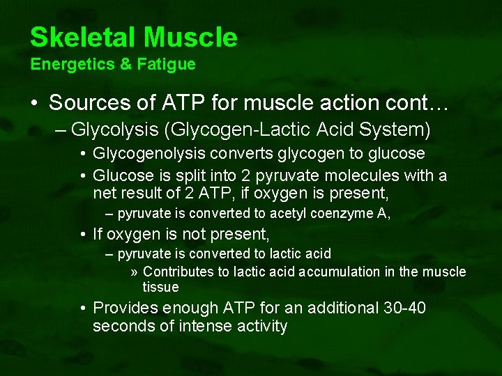 Skeletal Muscle Energetics & Fatigue • Sources of ATP for muscle action cont… –