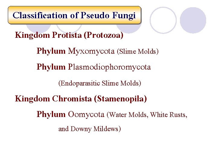 Classification of Pseudo Fungi Kingdom Protista (Protozoa) Phylum Myxomycota (Slime Molds) Phylum Plasmodiophoromycota (Endoparasitic