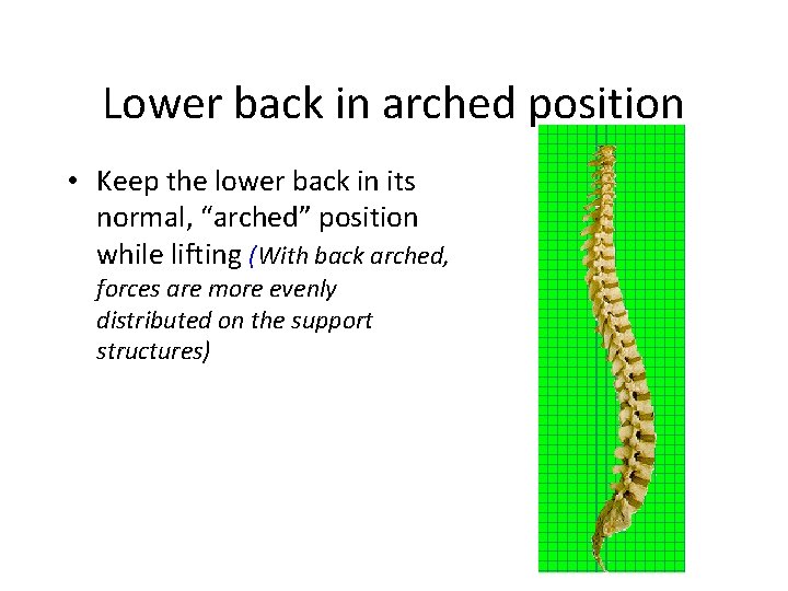 Lower back in arched position • Keep the lower back in its normal, “arched”