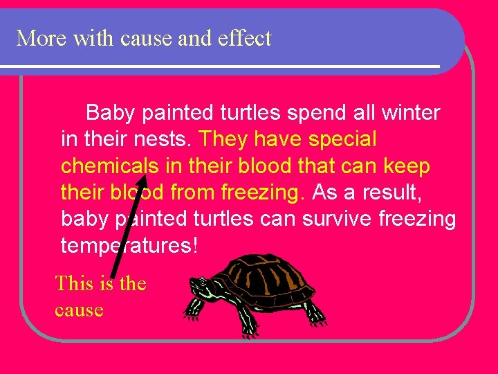 More with cause and effect Baby painted turtles spend all winter in their nests.
