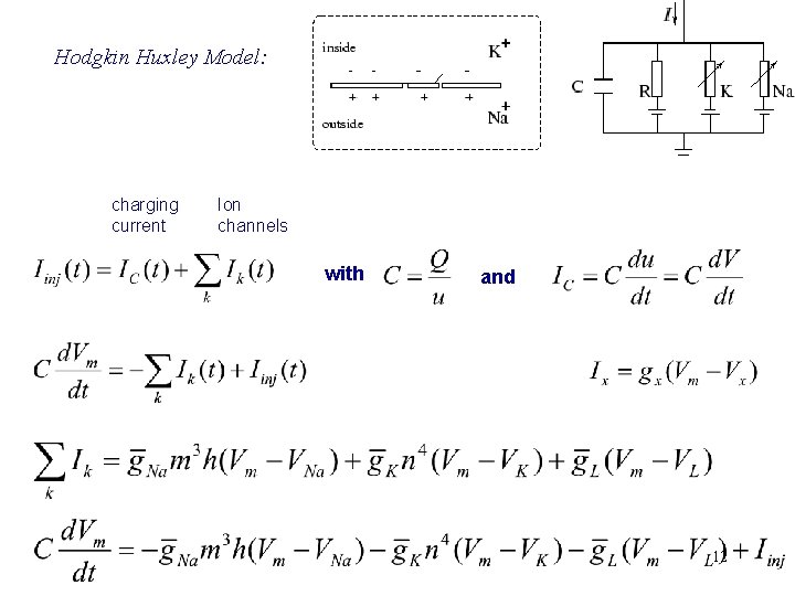 Hodgkin Huxley Model: charging current Ion channels with and 12 