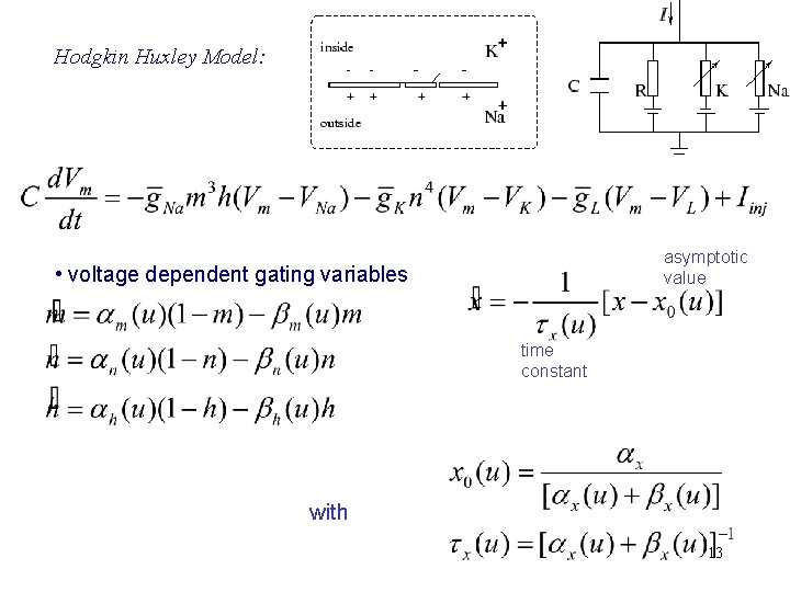 Hodgkin Huxley Model: asymptotic value • voltage dependent gating variables time constant with 13