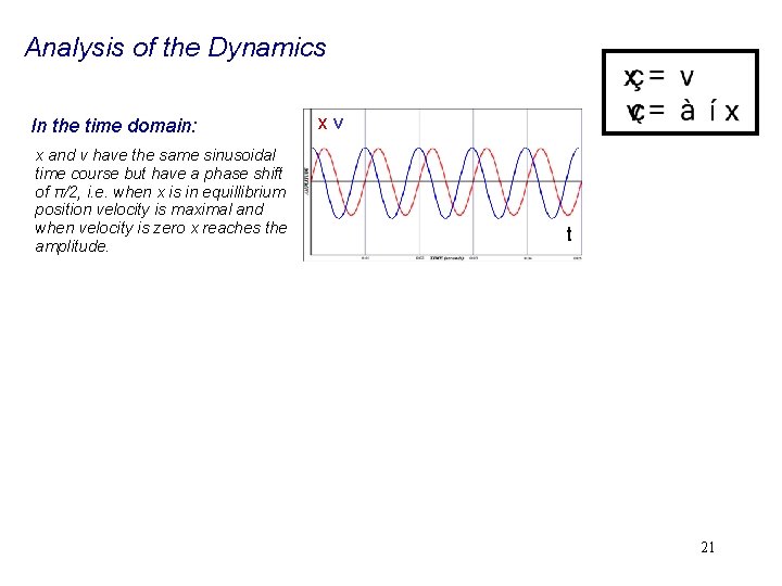 Analysis of the Dynamics In the time domain: x and v have the same