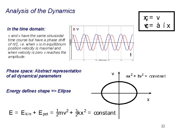 Analysis of the Dynamics In the time domain: xv x and v have the