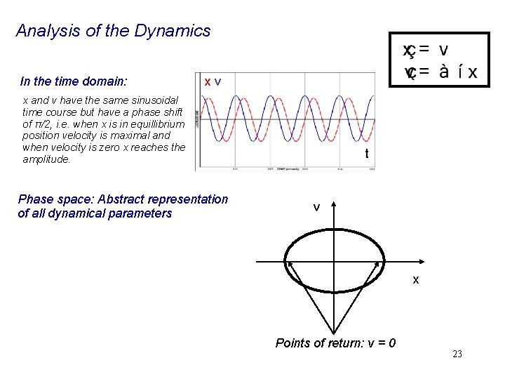 Analysis of the Dynamics In the time domain: xv x and v have the