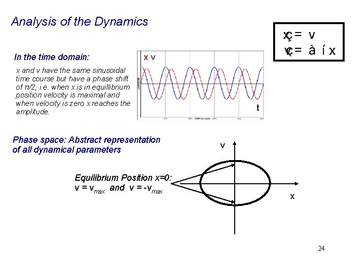 Analysis of the Dynamics In the time domain: xv x and v have the