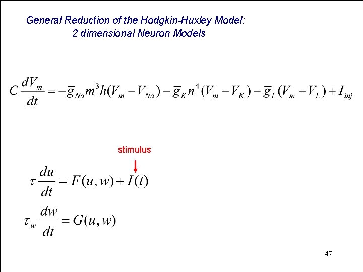 General Reduction of the Hodgkin-Huxley Model: 2 dimensional Neuron Models stimulus 47 