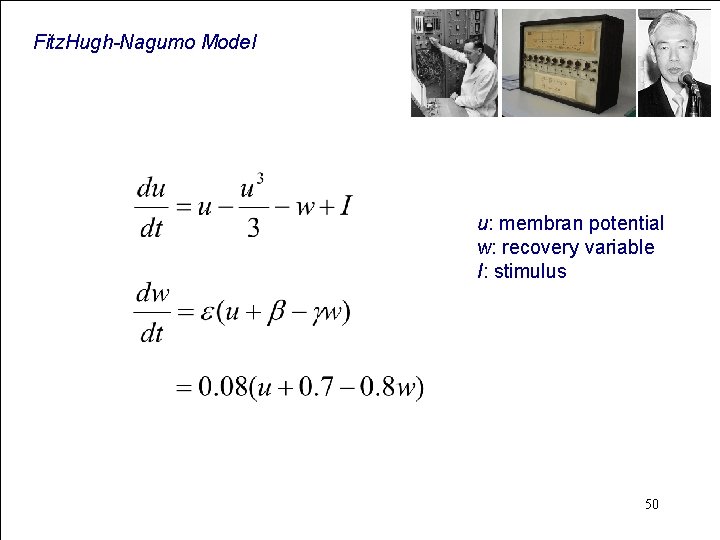 Fitz. Hugh-Nagumo Model u: membran potential w: recovery variable I: stimulus 50 