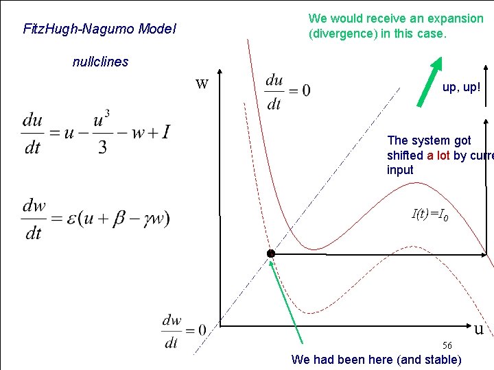 We would receive an expansion (divergence) in this case. Fitz. Hugh-Nagumo Model nullclines w