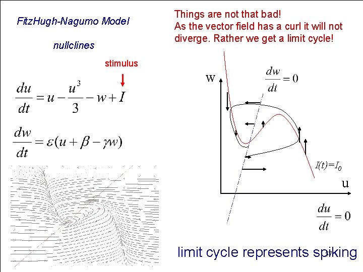 Fitz. Hugh-Nagumo Model nullclines Things are not that bad! As the vector field has
