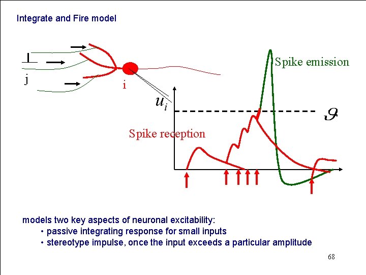 Integrate and Fire model Spike emission j i Spike reception models two key aspects