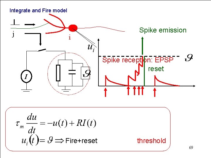 Integrate and Fire model j i Spike emission Spike reception: EPSP reset I Fire+reset