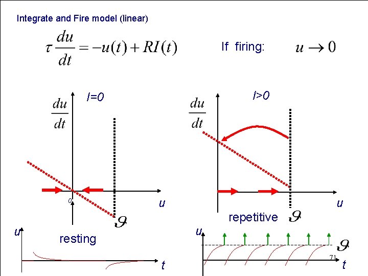 Integrate and Fire model (linear) If firing: I>0 I=0 0 u u resting t
