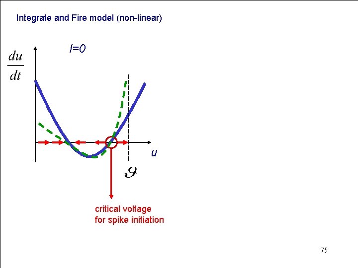 Integrate and Fire model (non-linear) I=0 u critical voltage for spike initiation 75 