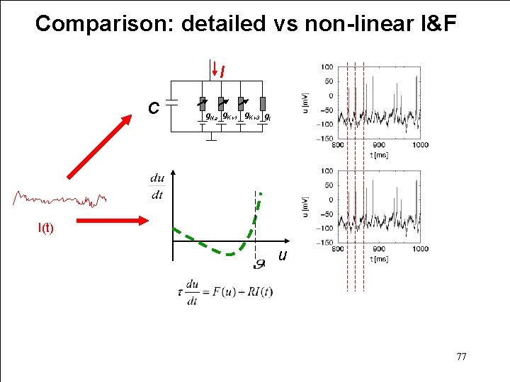 Comparison: detailed vs non-linear I&F I C g. Na g. Kv 1 g. Kv