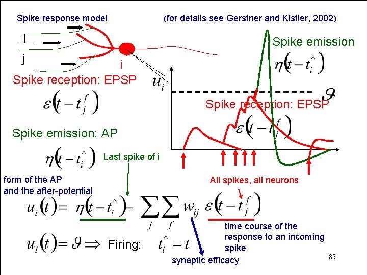 Spike response model (for details see Gerstner and Kistler, 2002) Spike emission j i