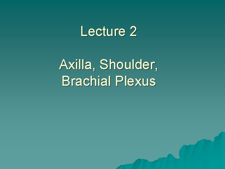 Lecture 2 Axilla, Shoulder, Brachial Plexus 