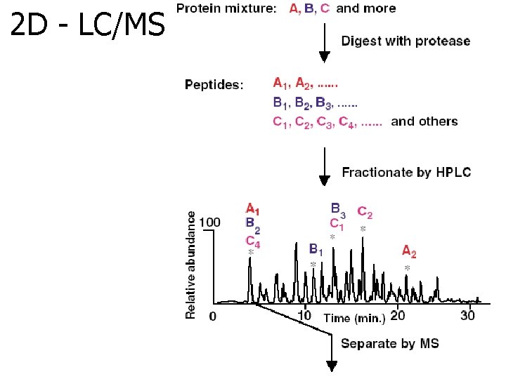 2 D - LC/MS 