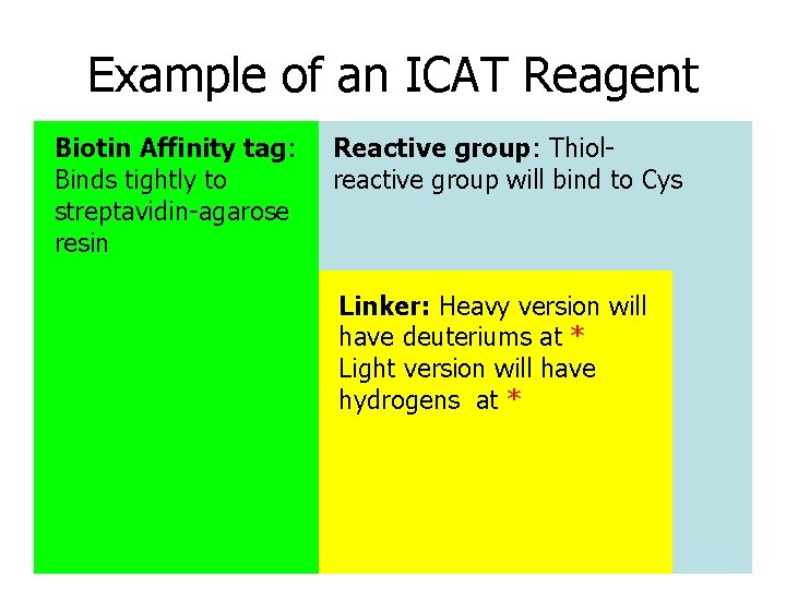 Example of an ICAT Reagent Biotin Affinity tag: Binds tightly to streptavidin-agarose resin Reactive